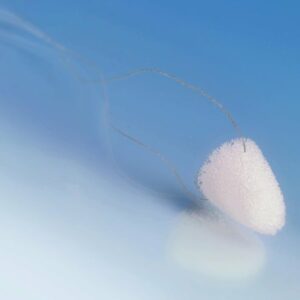 Oto-soft® impression pad - foam conical